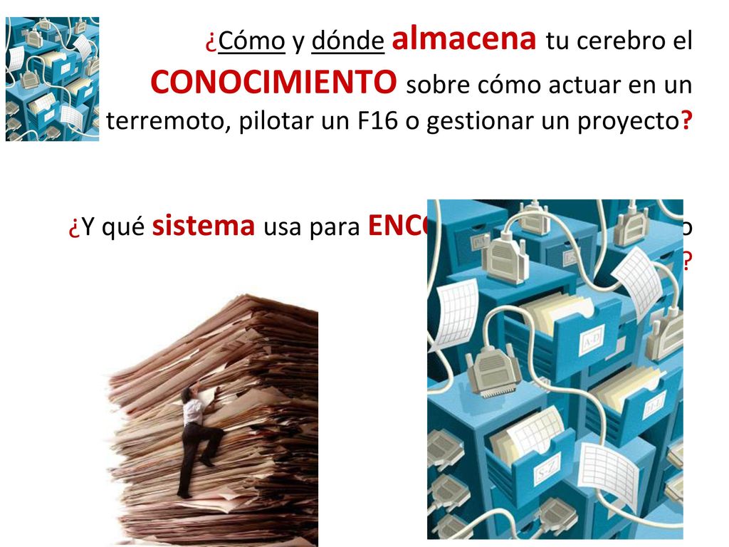¿Cómo y dónde almacena tu cerebro el CONOCIMIENTO sobre cómo actuar en un terremoto, pilotar un F16 o gestionar un proyecto
