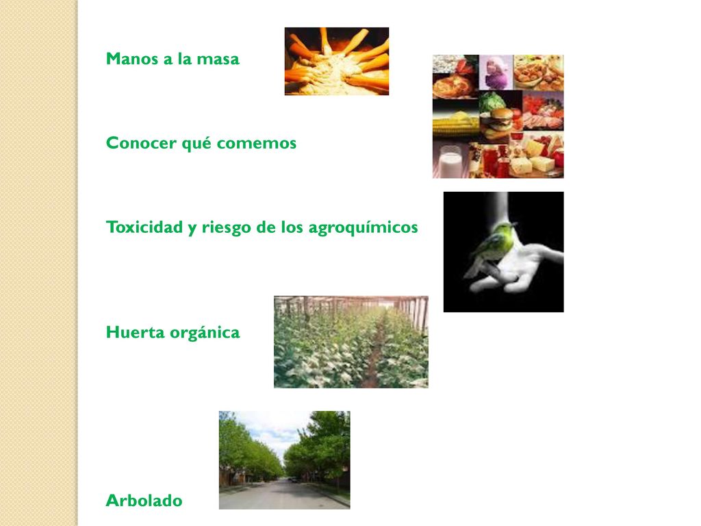 Manos a la masa Conocer qué comemos Toxicidad y riesgo de los agroquímicos Huerta orgánica Arbolado