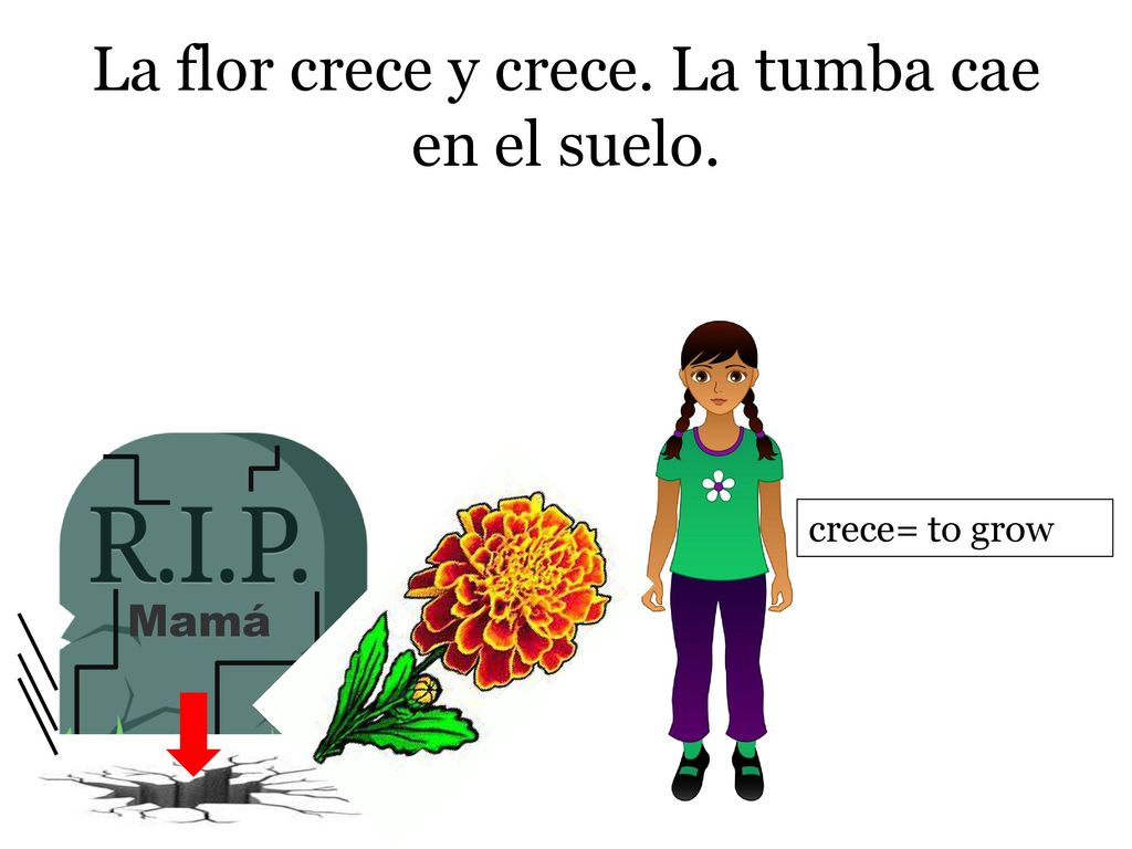 La flor crece y crece. La tumba cae en el suelo.