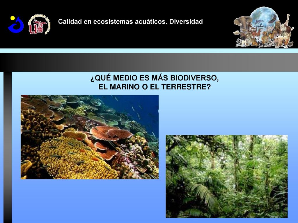 ¿QUÉ MEDIO ES MÁS BIODIVERSO, EL MARINO O EL TERRESTRE