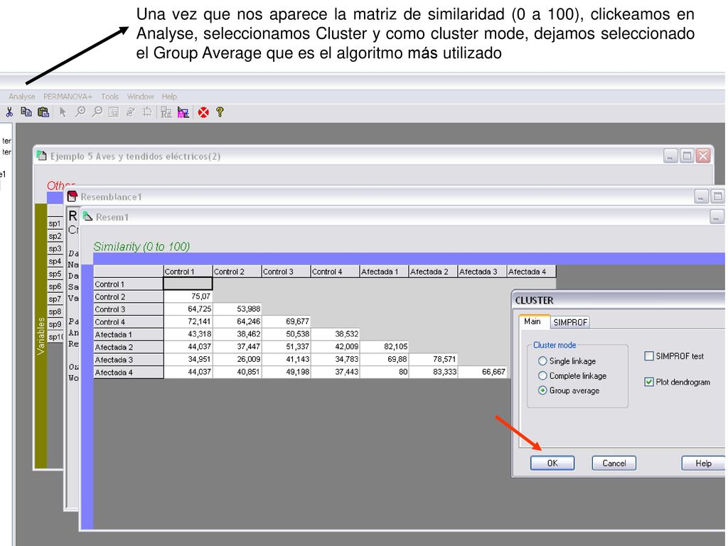 Una vez que nos aparece la matriz de similaridad (0 a 100), clickeamos en Analyse, seleccionamos Cluster y como cluster mode, dejamos seleccionado el Group Average que es el algoritmo más utilizado