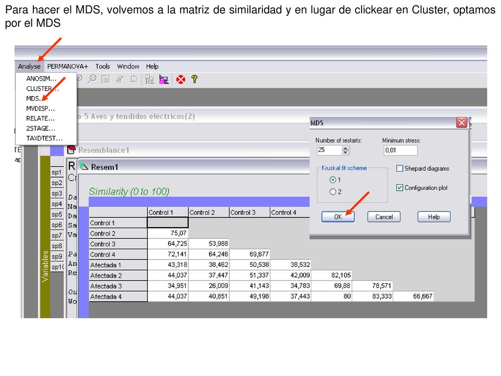Para hacer el MDS, volvemos a la matriz de similaridad y en lugar de clickear en Cluster, optamos por el MDS
