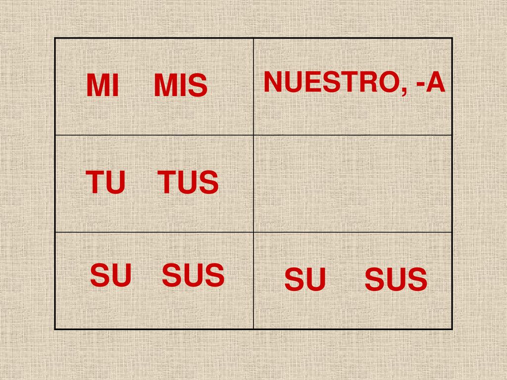 MI MIS NUESTRO, -A TU TUS SU SUS SU SUS