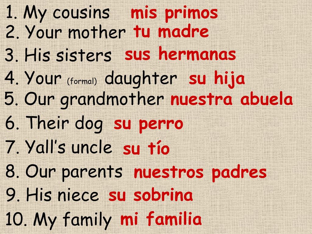 1. My cousins mis primos. 2. Your mother. tu madre. 3. His sisters. sus hermanas. 4. Your (formal) daughter.