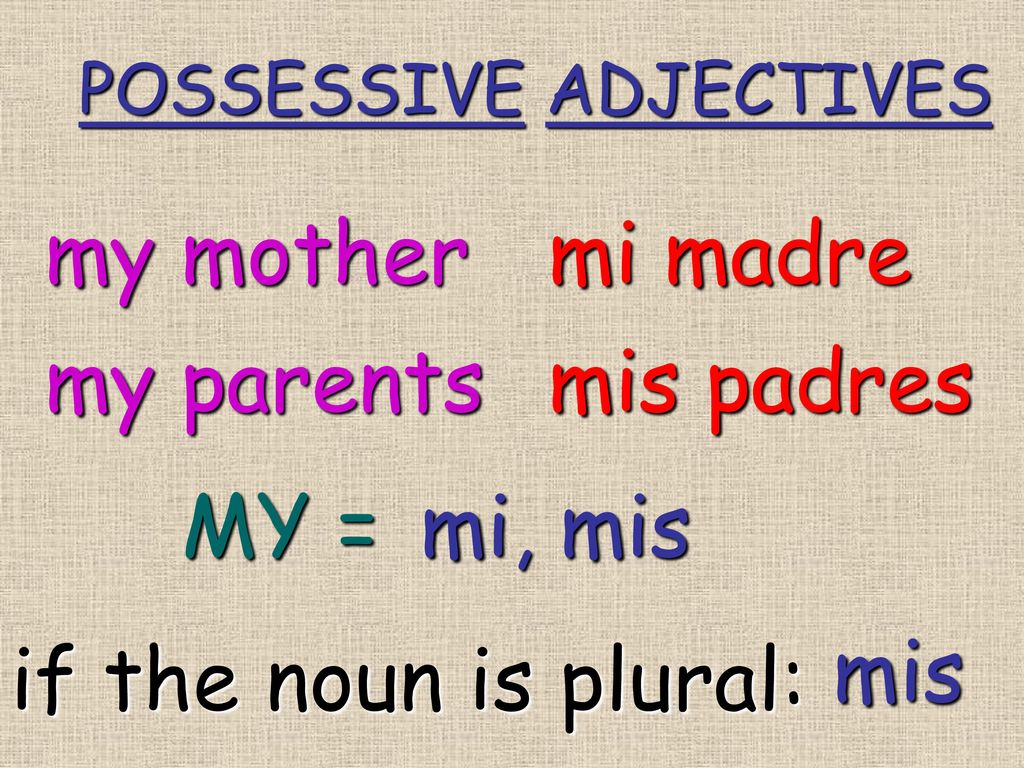 my mother mi madre my parents mis padres MY = mi, mis mis