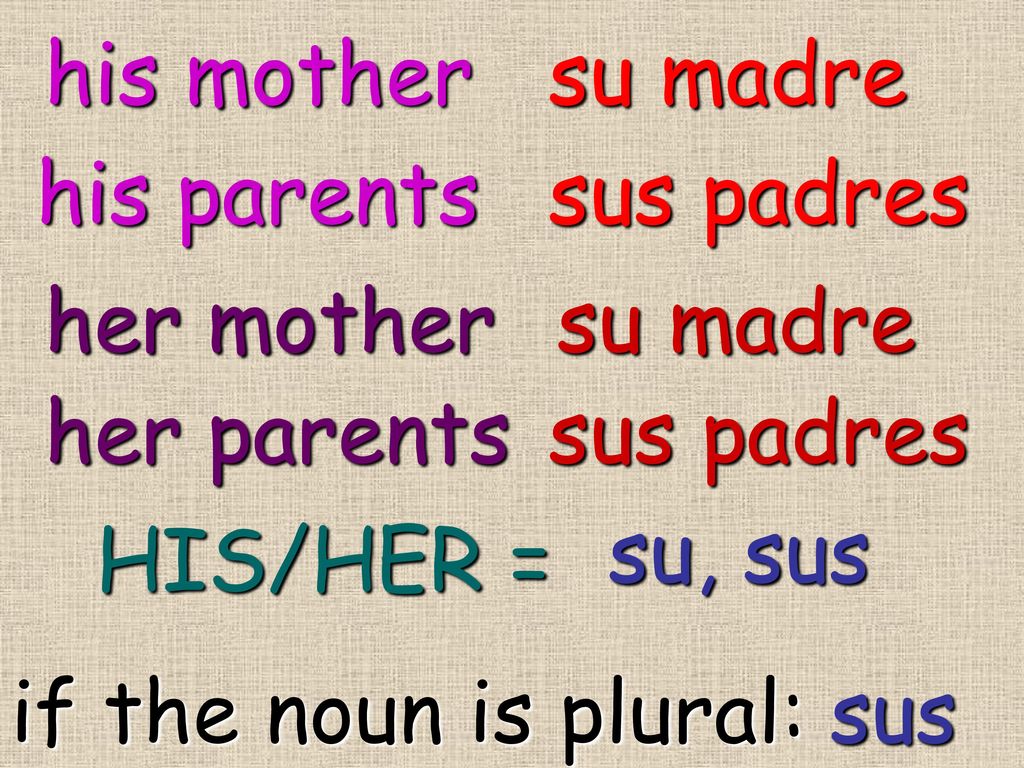 his mother su madre. his parents. sus padres. her mother. su madre. her parents. sus padres. su, sus.