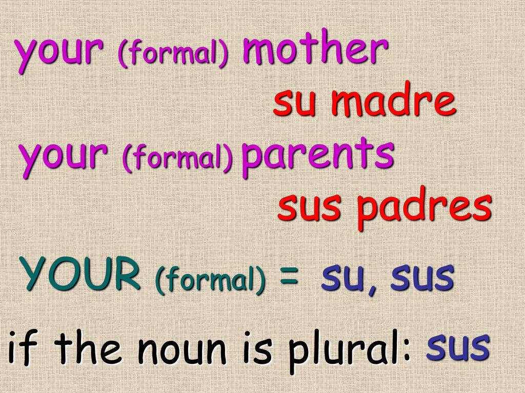 your (formal) mother su madre. your (formal) parents. sus padres. YOUR (formal) = su, sus. sus.