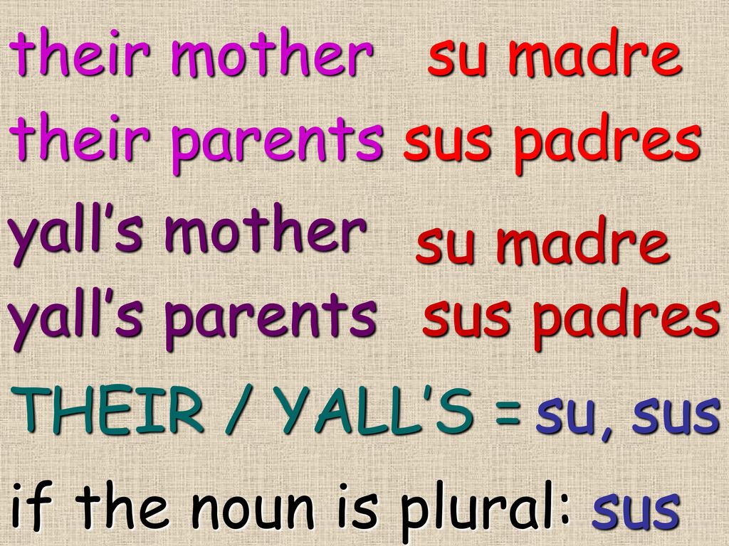 their mother su madre. their parents. sus padres. yall’s mother. su madre. yall’s parents. sus padres.