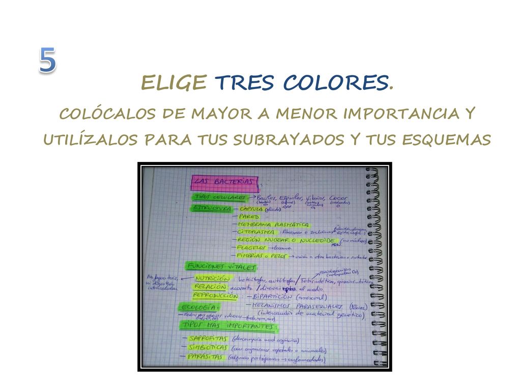 ELIGE TRES COLORES. COLÓCALOS DE MAYOR A MENOR IMPORTANCIA Y UTILÍZALOS PARA TUS SUBRAYADOS Y TUS ESQUEMAS