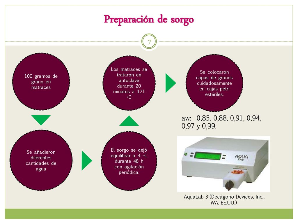 Preparación de sorgo aw: 0,85, 0,88, 0,91, 0,94, 0,97 y 0,99.