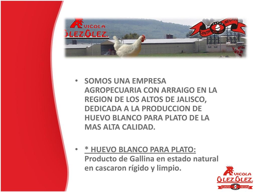 SOMOS UNA EMPRESA AGROPECUARIA CON ARRAIGO EN LA REGION DE LOS ALTOS DE JALISCO, DEDICADA A LA PRODUCCION DE HUEVO BLANCO PARA PLATO DE LA MAS ALTA CALIDAD.