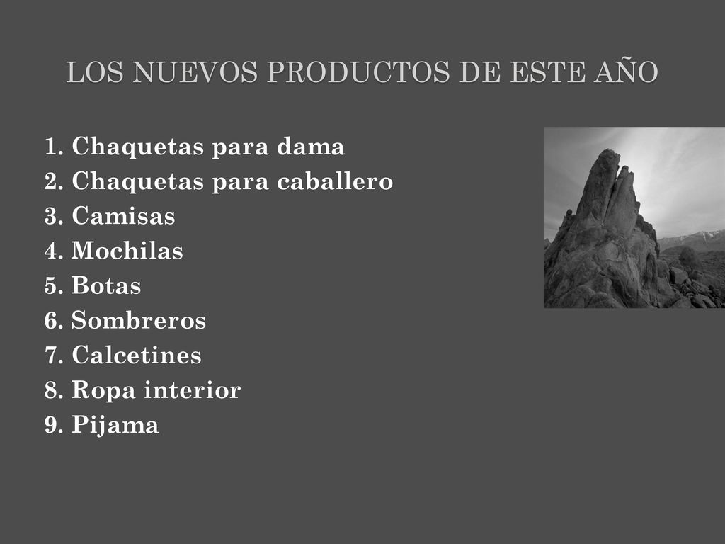 LOS NUEVOS PRODUCTOS DE ESTE AÑO