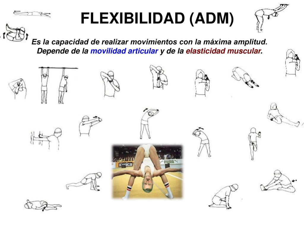 FLEXIBILIDAD (ADM) Es la capacidad de realizar movimientos con la máxima amplitud.