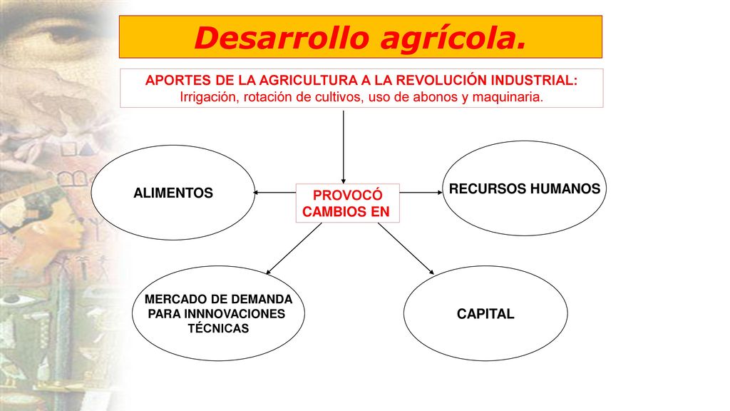 Desarrollo agrícola. APORTES DE LA AGRICULTURA A LA REVOLUCIÓN INDUSTRIAL: Irrigación, rotación de cultivos, uso de abonos y maquinaria.