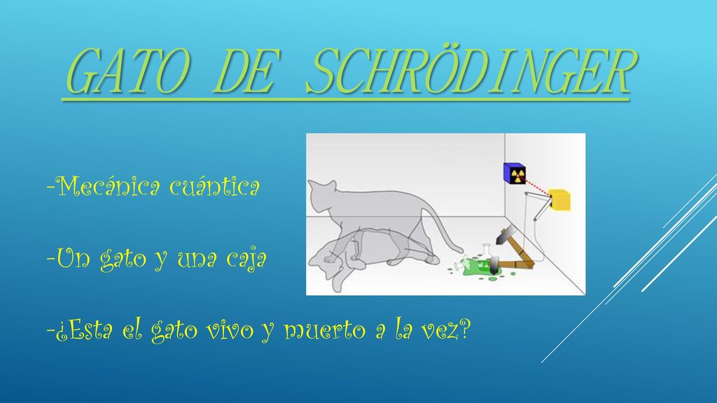Gato de Schrödinger -Mecánica cuántica -Un gato y una caja