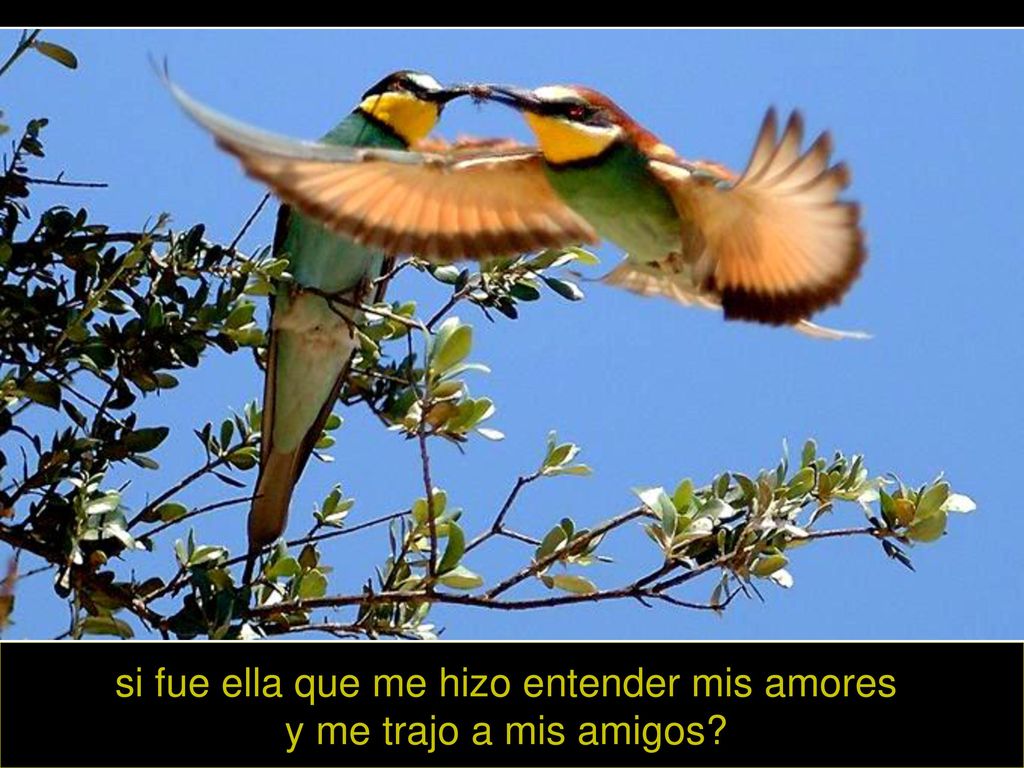 si fue ella que me hizo entender mis amores