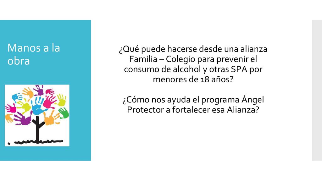 ¿Cómo nos ayuda el programa Ángel Protector a fortalecer esa Alianza
