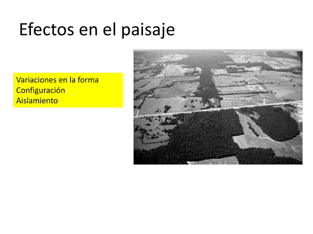 Efectos en el paisaje Variaciones en la forma Configuración