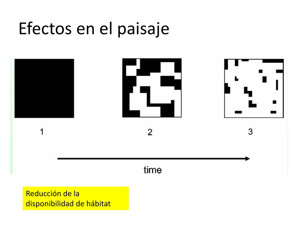 Efectos en el paisaje Reducción de la disponibilidad de hábitat