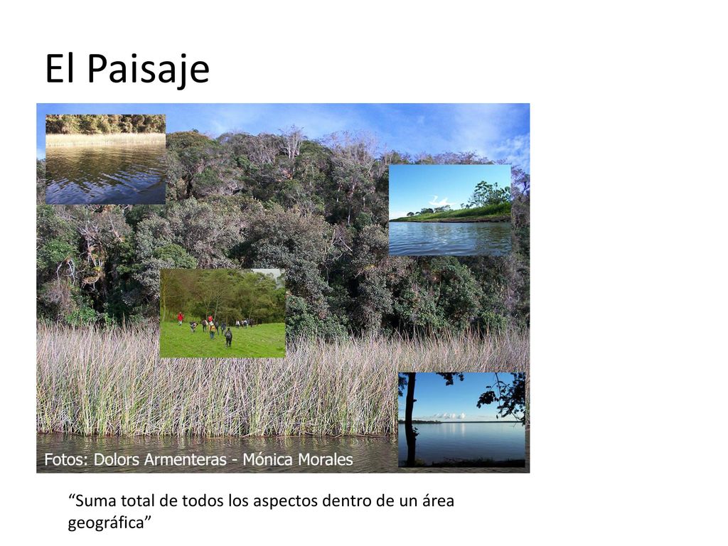 El Paisaje Suma total de todos los aspectos dentro de un área geográfica