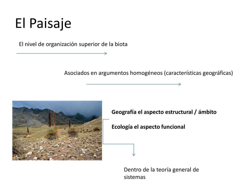 El Paisaje El nivel de organización superior de la biota