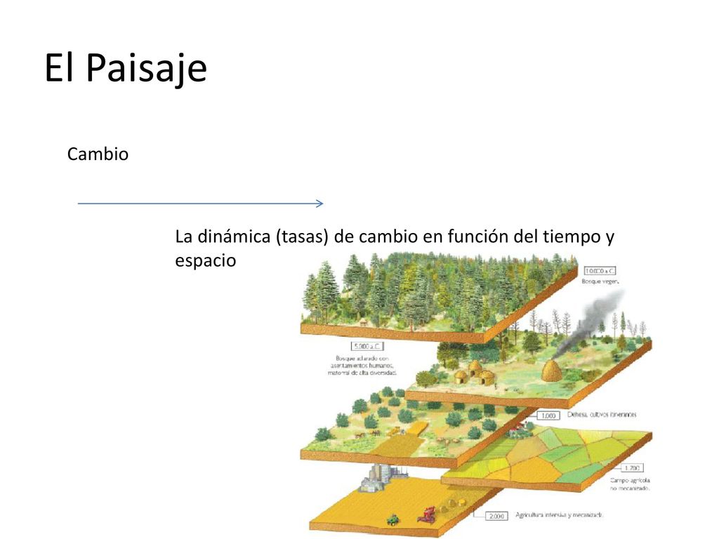 El Paisaje Cambio La dinámica (tasas) de cambio en función del tiempo y espacio