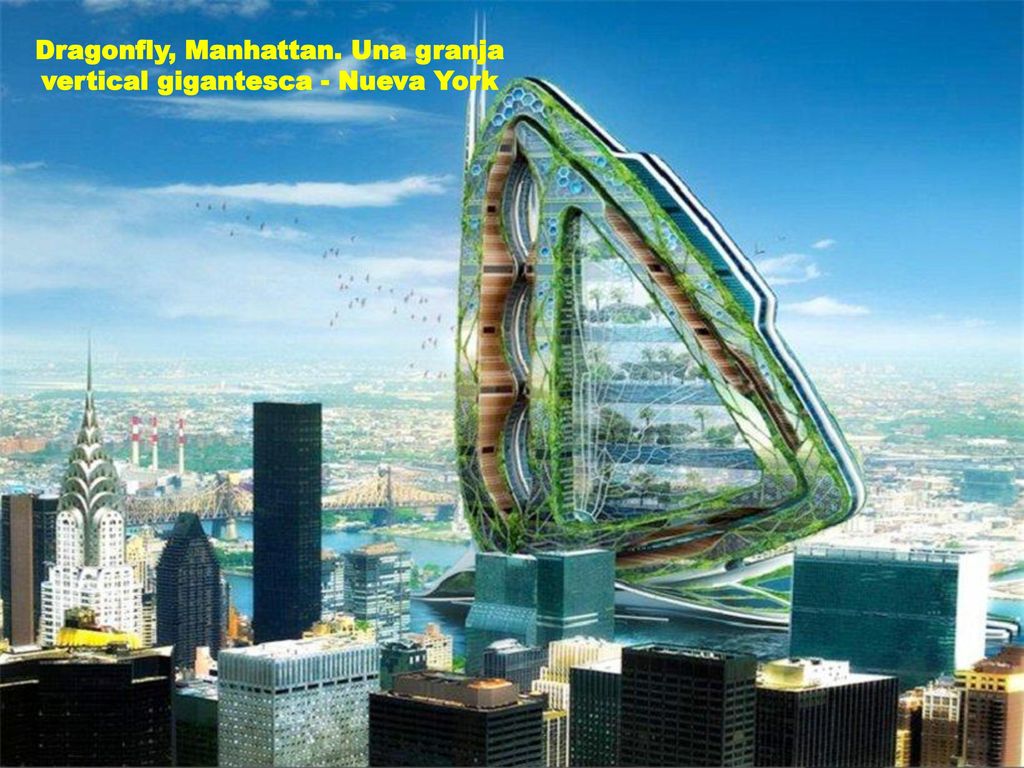 Dragonfly, Manhattan. Una granja vertical gigantesca - Nueva York