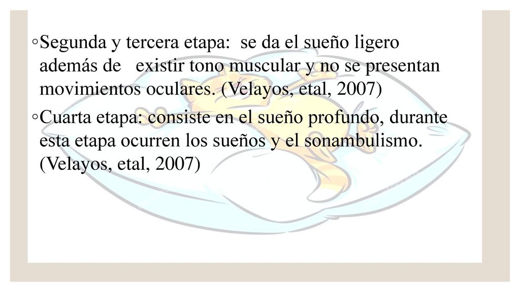 Segunda y tercera etapa: se da el sueño ligero además de existir tono muscular y no se presentan movimientos oculares. (Velayos, etal, 2007)