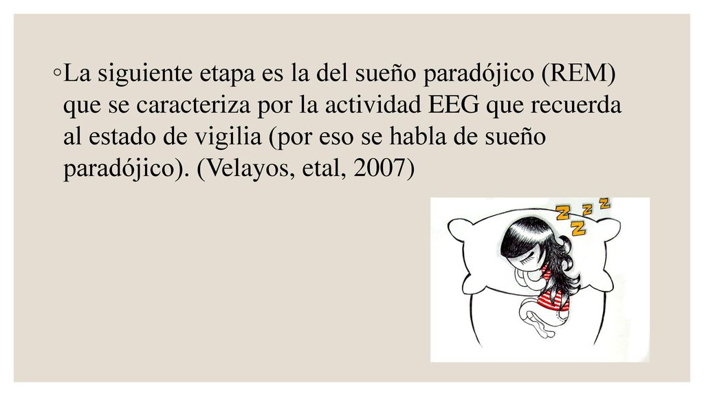 La siguiente etapa es la del sueño paradójico (REM) que se caracteriza por la actividad EEG que recuerda al estado de vigilia (por eso se habla de sueño paradójico).