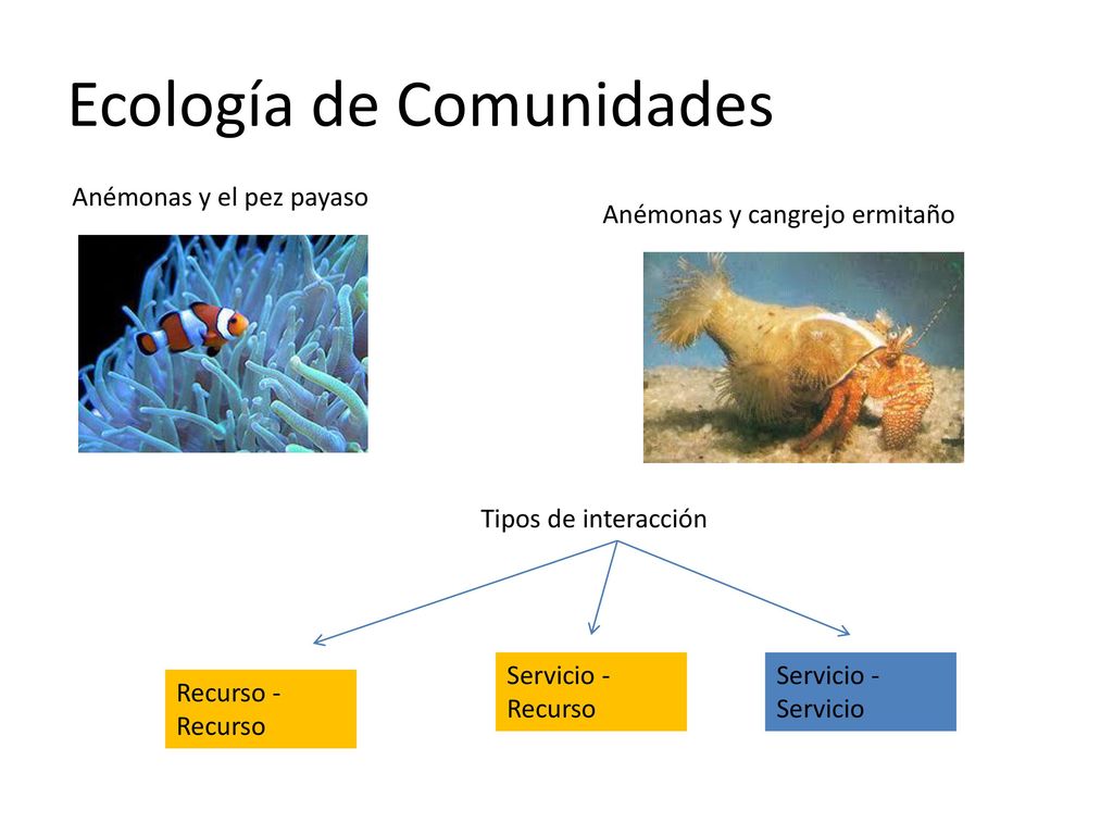 Ecología de Comunidades
