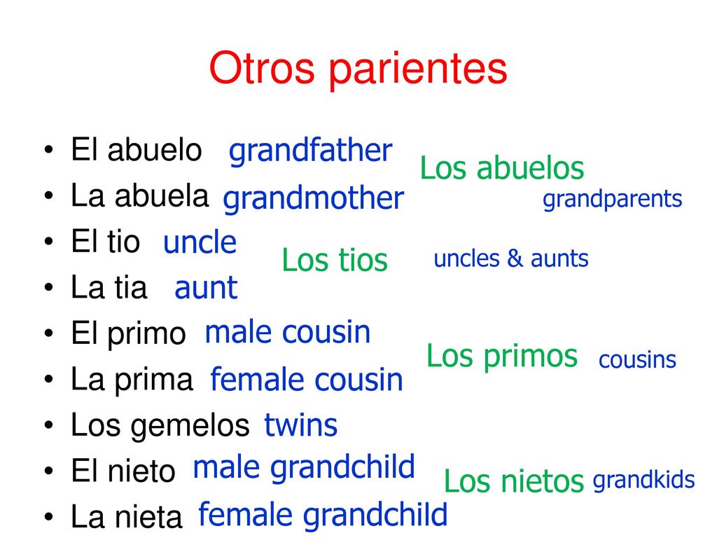Otros parientes El abuelo La abuela El tio La tia El primo La prima