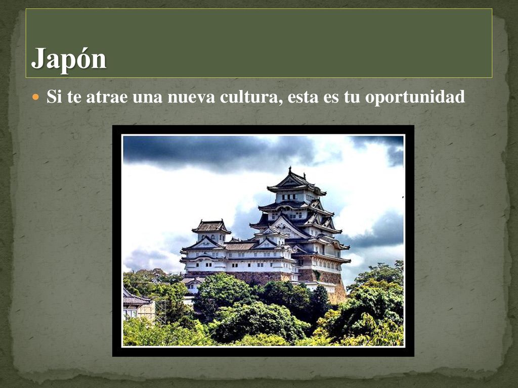 Japón Si te atrae una nueva cultura, esta es tu oportunidad