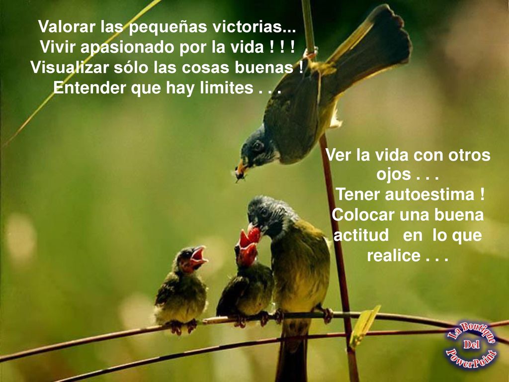 Valorar las pequeñas victorias... Vivir apasionado por la vida ! ! !