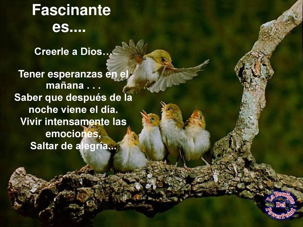Fascinante es.... Creerle a Dios… Tener esperanzas en el mañana . . .