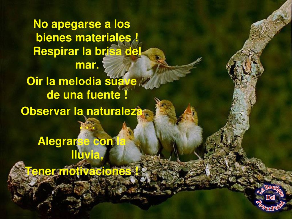 No apegarse a los bienes materiales ! Respirar la brisa del mar.