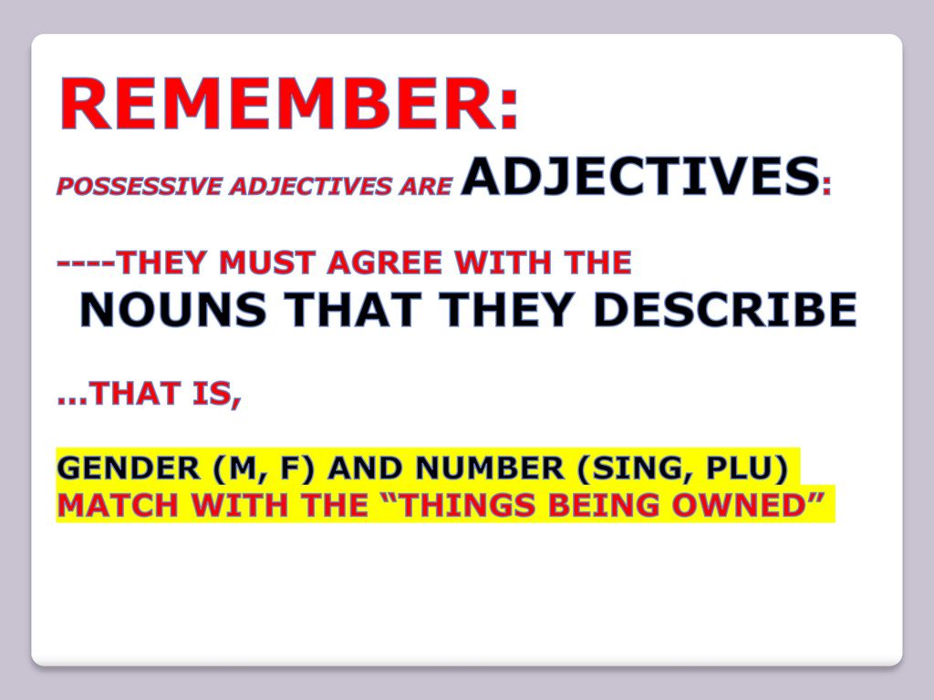 REMEMBER: ----THEY MUST AGREE WITH THE NOUNS THAT THEY DESCRIBE
