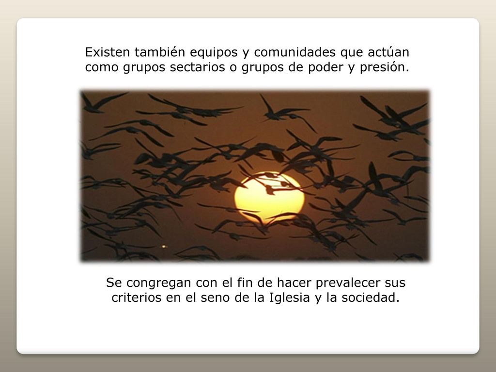 Existen también equipos y comunidades que actúan como grupos sectarios o grupos de poder y presión.