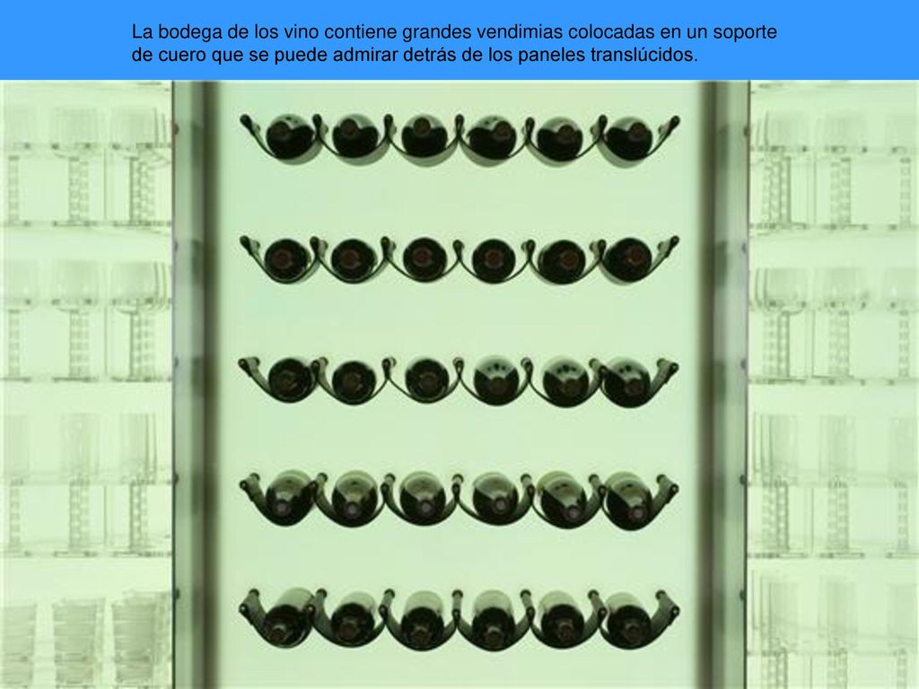 La bodega de los vino contiene grandes vendimias colocadas en un soporte de cuero que se puede admirar detrás de los paneles translúcidos.