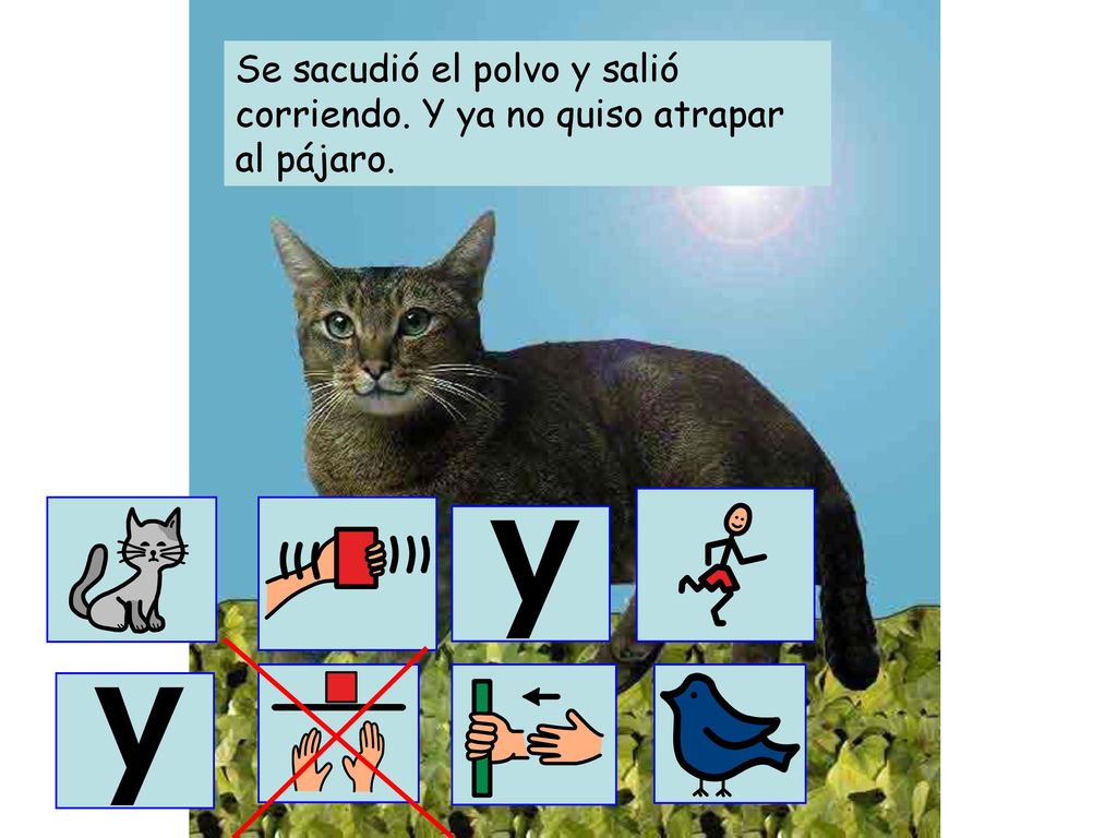 Se sacudió el polvo y salió corriendo. Y ya no quiso atrapar al pájaro.
