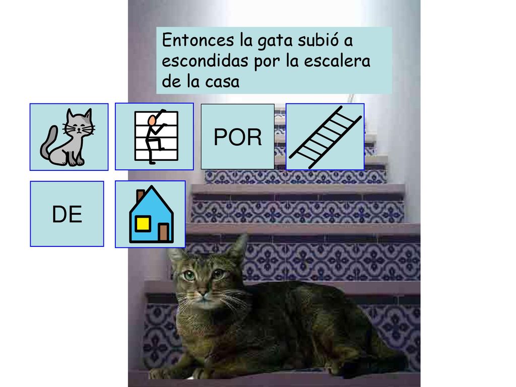 Entonces la gata subió a escondidas por la escalera de la casa