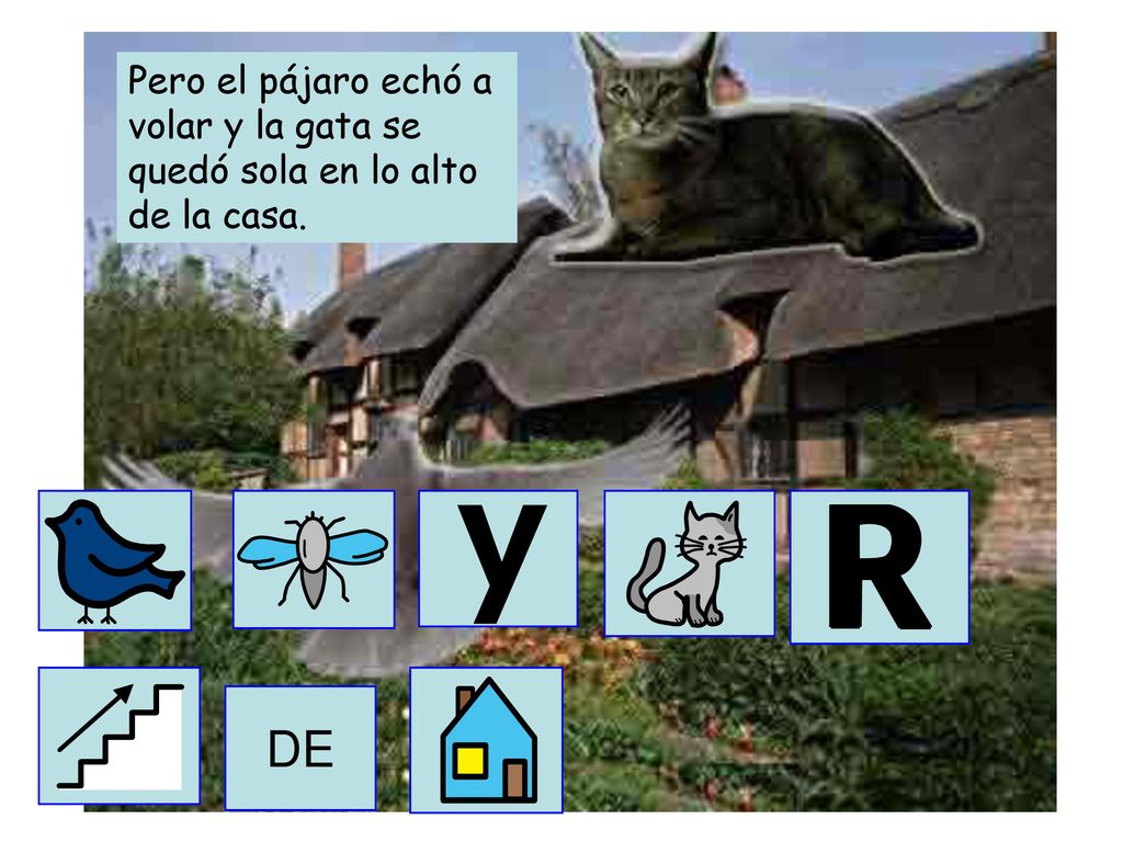 Pero el pájaro echó a volar y la gata se quedó sola en lo alto de la casa.