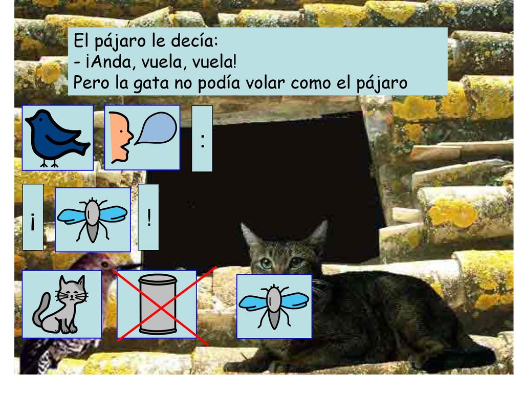 : ¡ ! El pájaro le decía: - ¡Anda, vuela, vuela!