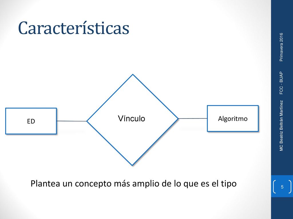 Plantea un concepto más amplio de lo que es el tipo
