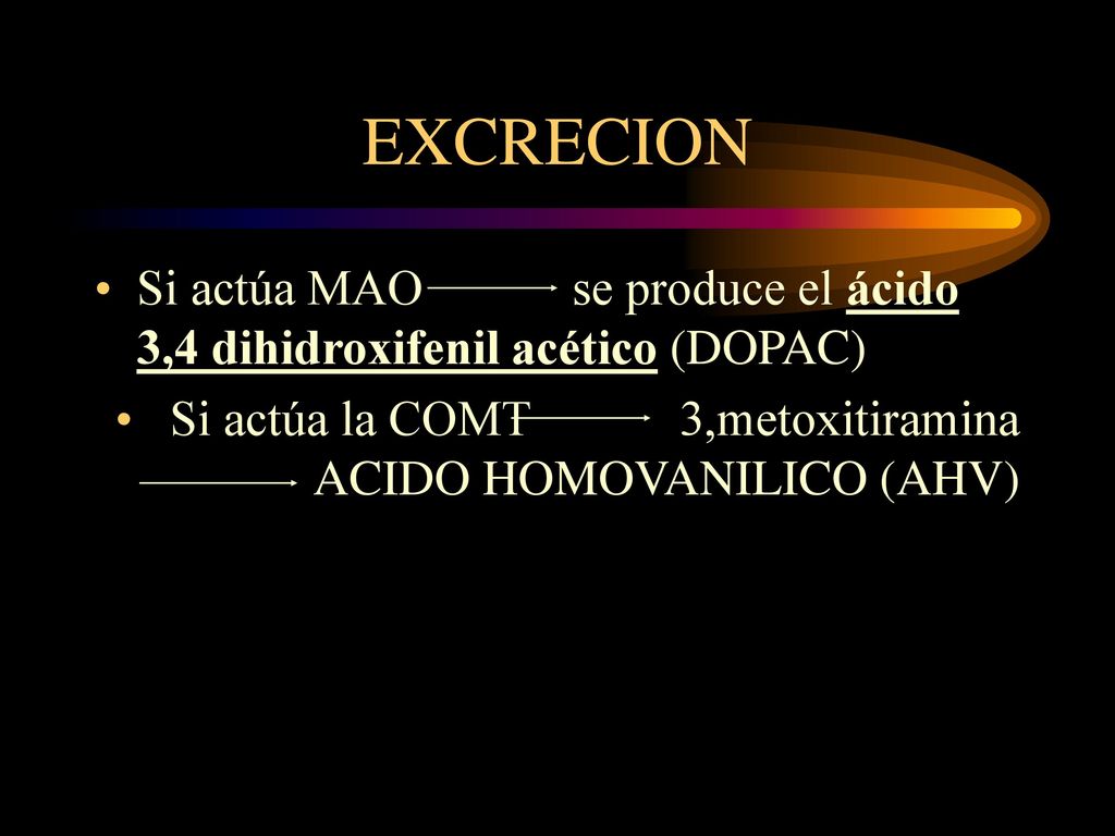 EXCRECION Si actúa MAO se produce el ácido 3,4 dihidroxifenil acético (DOPAC)