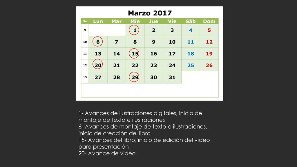 1- Avances de ilustraciones digitales, inicio de montaje de texto e ilustraciones