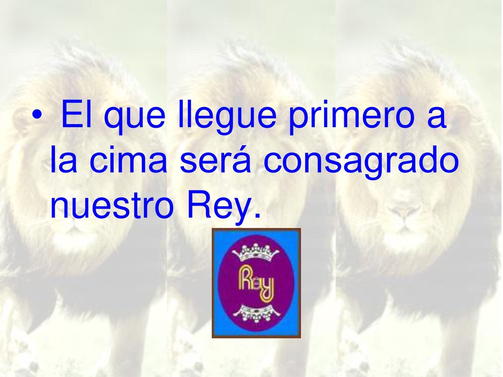 El que llegue primero a la cima será consagrado nuestro Rey.