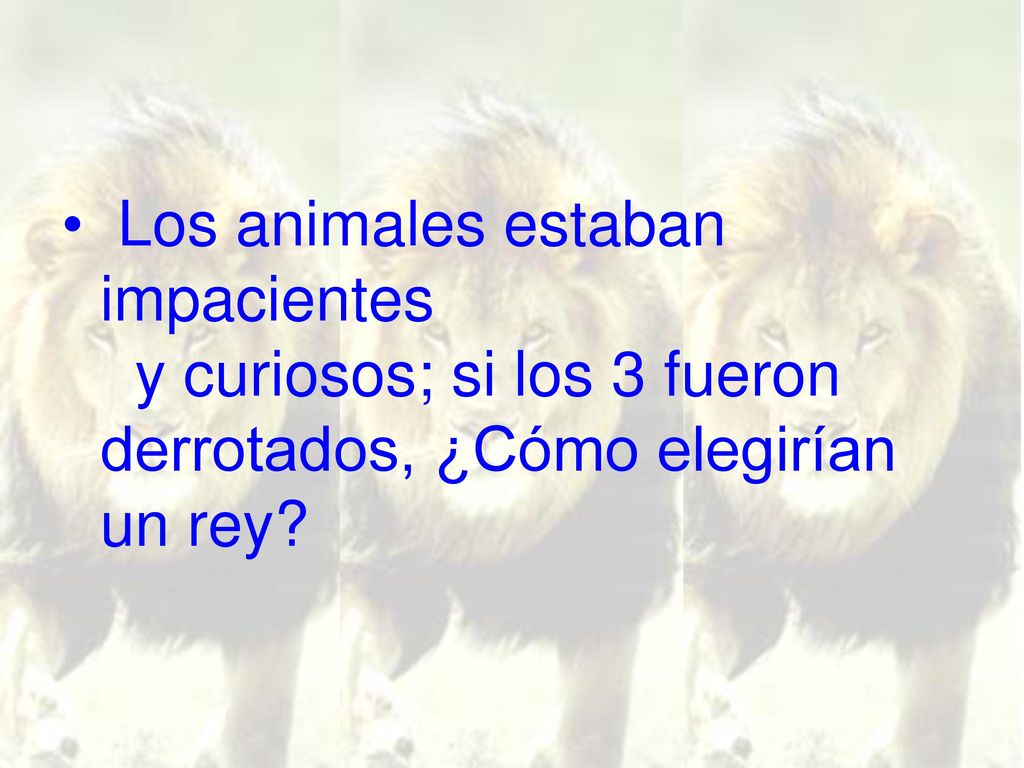 Los animales estaban impacientes y curiosos; si los 3 fueron derrotados, ¿Cómo elegirían un rey