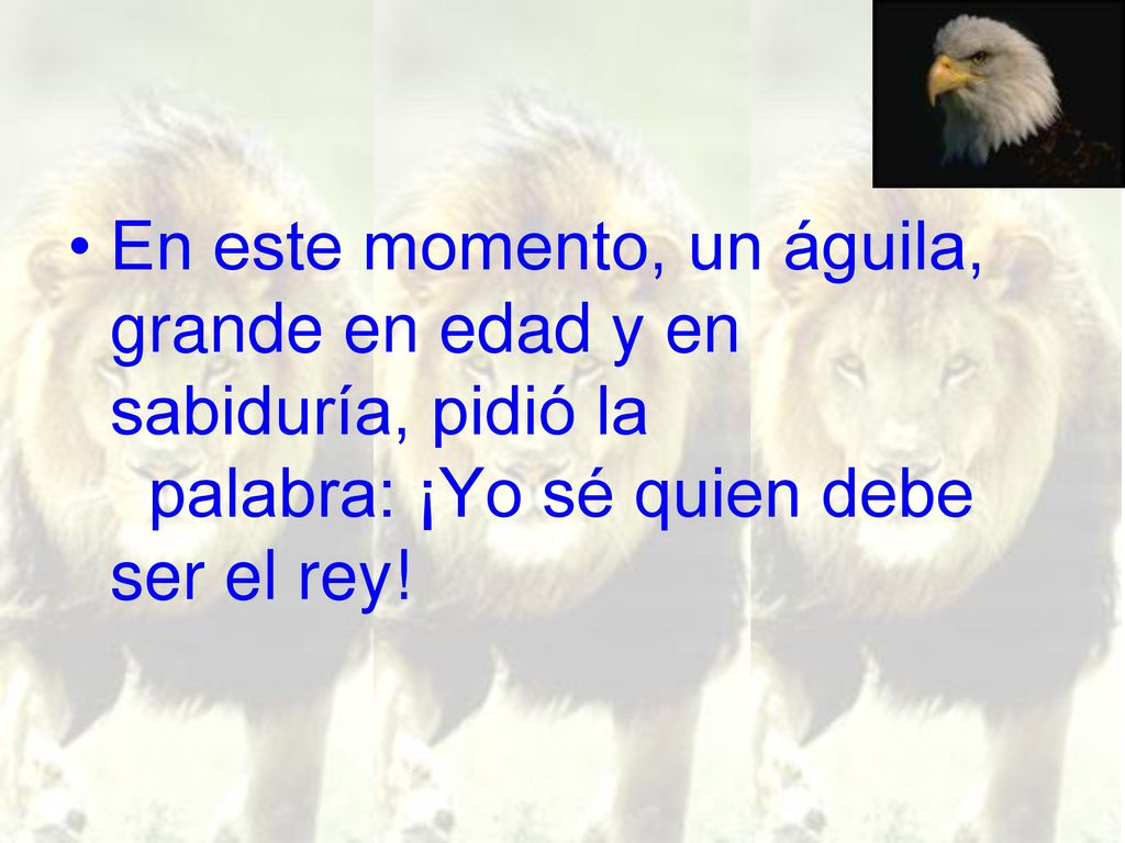 En este momento, un águila, grande en edad y en sabiduría, pidió la palabra: ¡Yo sé quien debe ser el rey!