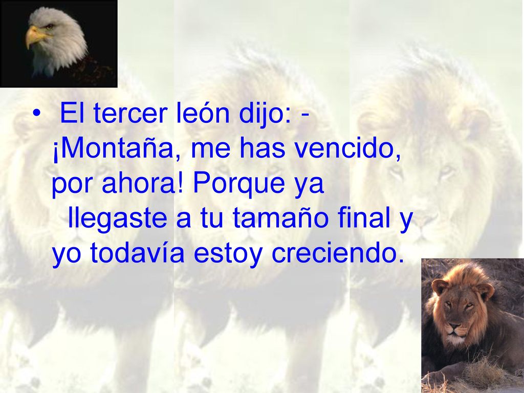 El tercer león dijo: - ¡Montaña, me has vencido, por ahora