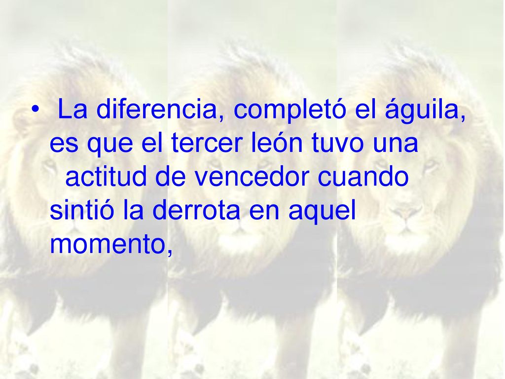 La diferencia, completó el águila, es que el tercer león tuvo una actitud de vencedor cuando sintió la derrota en aquel momento,